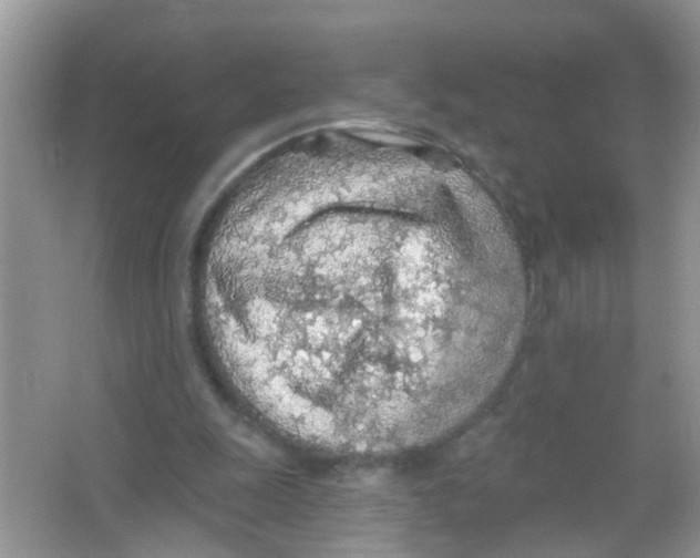 X0000065970247200603311846