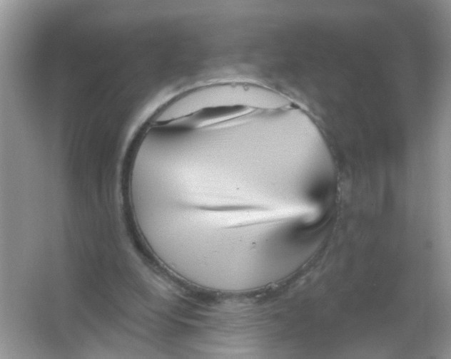 X0000065970248200603311846