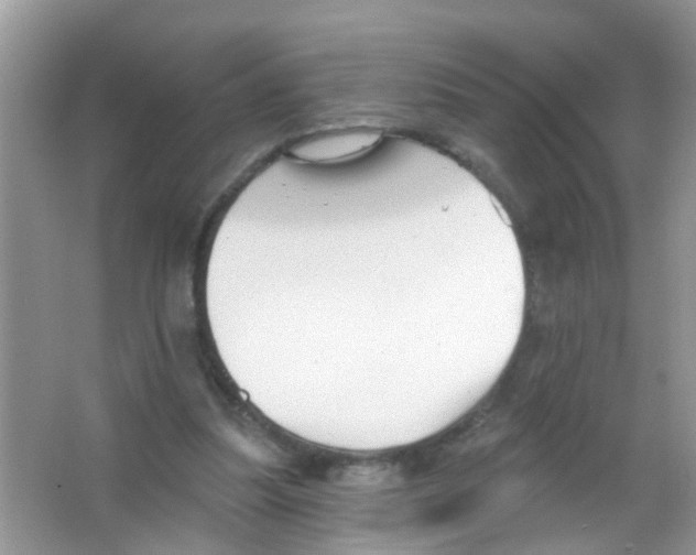 X0000065970251200603311846