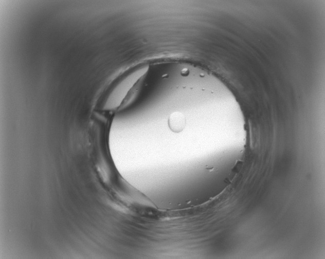 X0000065970252200603311846