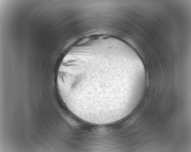 X0000065970253200603311846