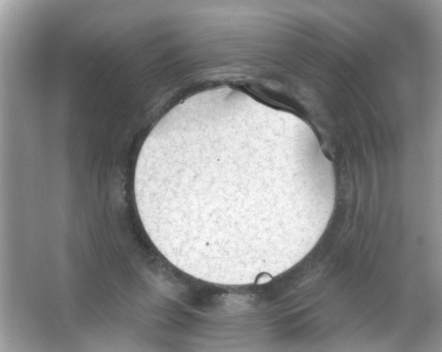 X0000065970255200603311846