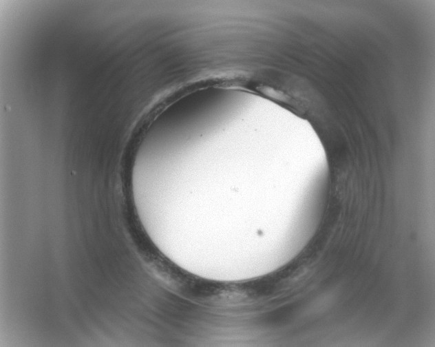 X0000065970256200603311846