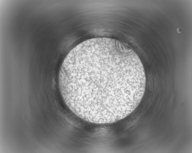 X0000065970259200603311846