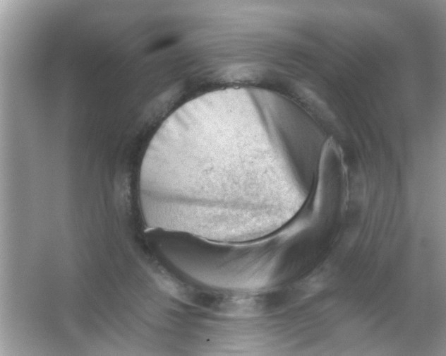 X0000065970260200603311846