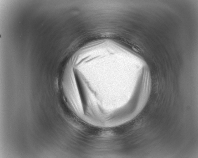 X0000065970262200603311846