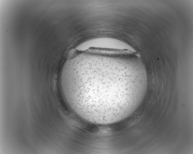 X0000065970263200603311846