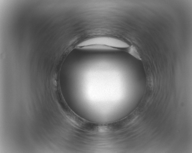 X0000065970264200603311846