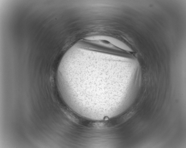 X0000065970265200603311846