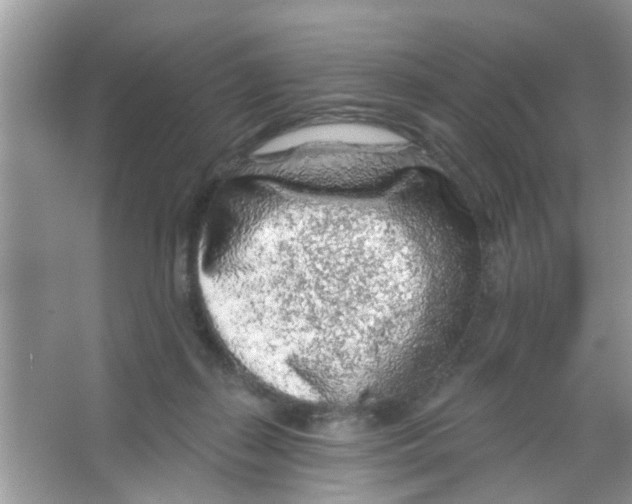 X0000065970267200603311846