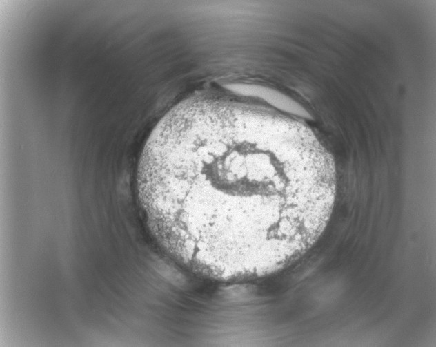 X0000065970269200603311846