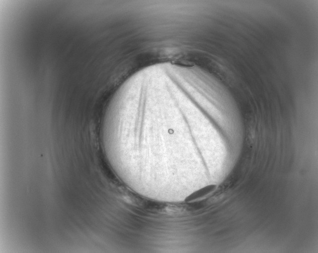 X0000065970270200603311846