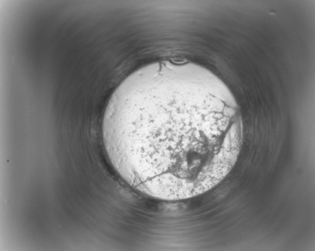 X0000065970277200603311846