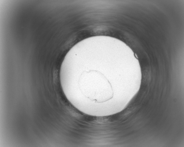 X0000065970278200603311846