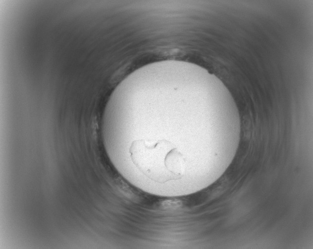 X0000065970279200603311846