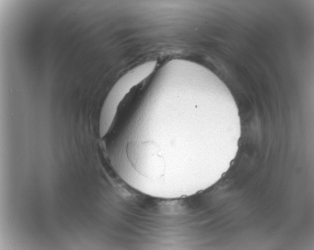 X0000065970281200603311846