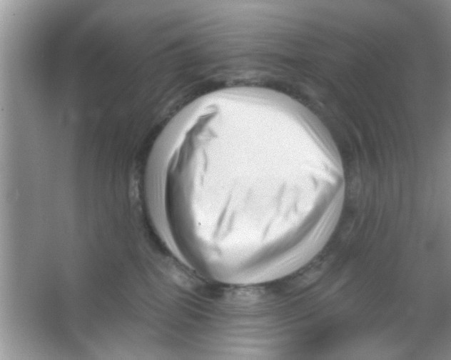 X0000065970282200603311846