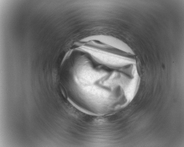 X0000065970283200603311847