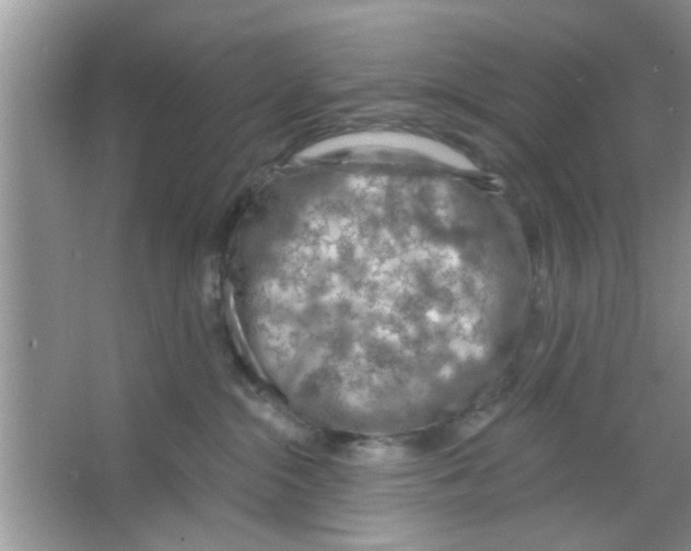 X0000065970284200603311847