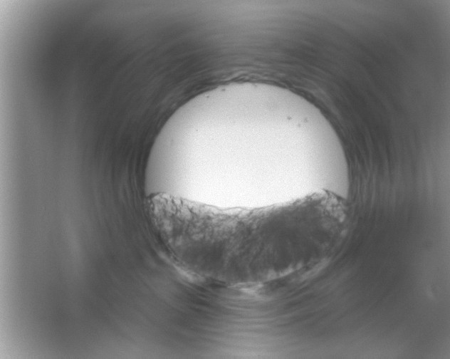 X0000065970285200603311847