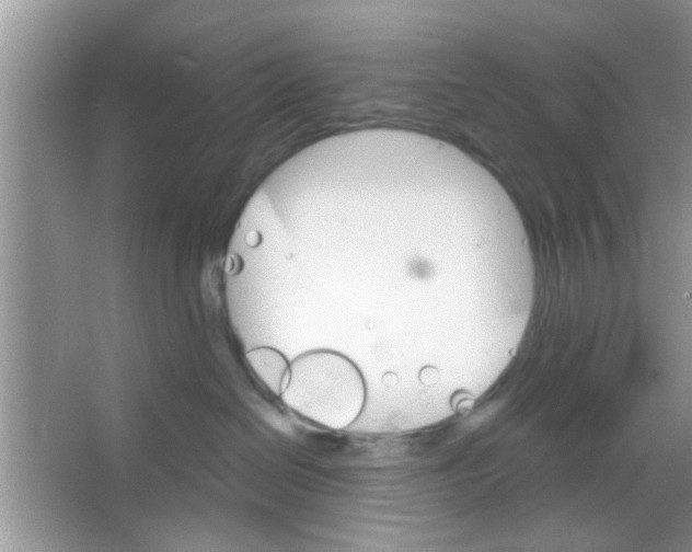 X0000065970286200603311847