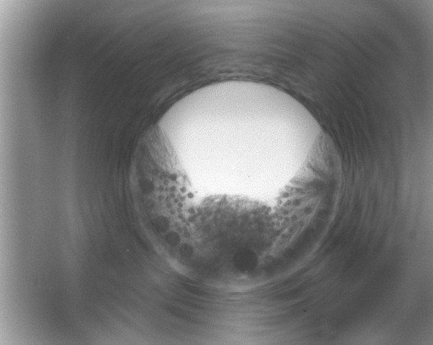 X0000065970287200603311847