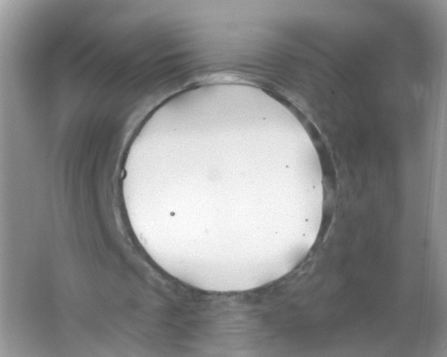 X0000065970289200603311846