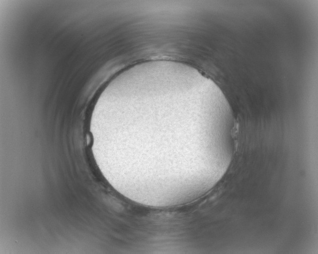 X0000065970291200603311846