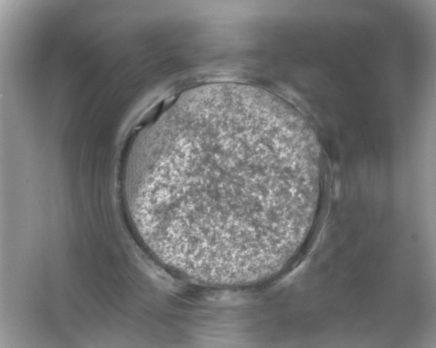 X0000065970293200603311846