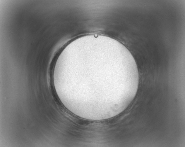 X0000065970294200603311846