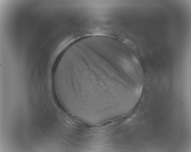 X0000065970295200603311846