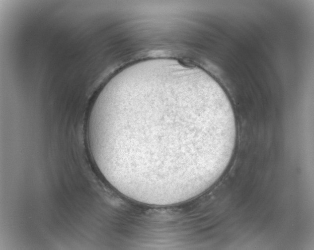 X0000065970297200603311846