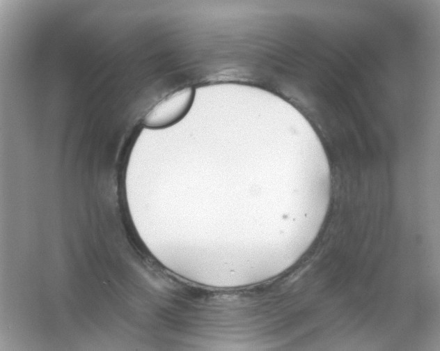 X0000065970298200603311846