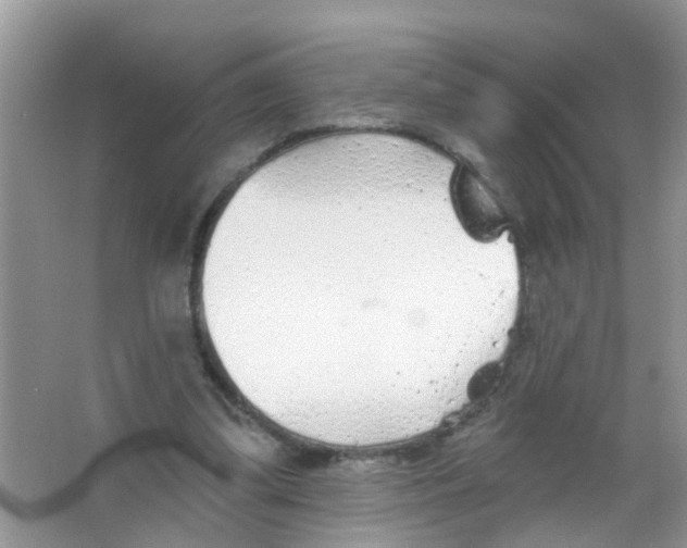 X0000065970299200603311846