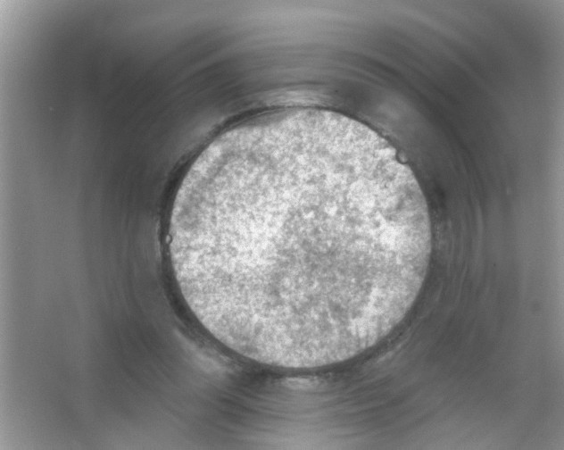 X0000065970302200603311846