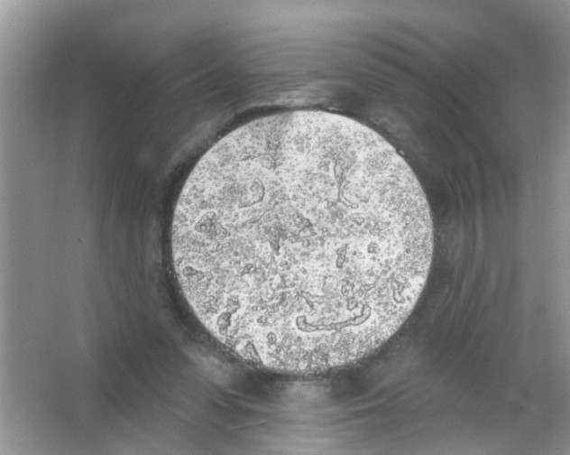 X0000065970303200603311846