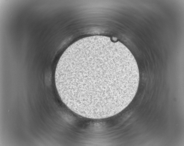 X0000065970304200603311846