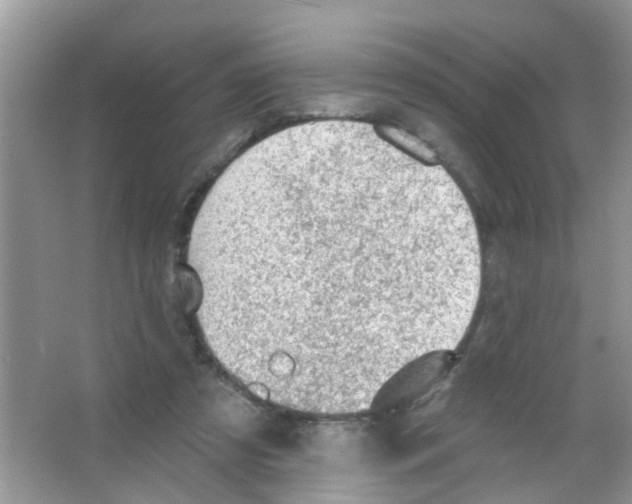 X0000065970305200603311846