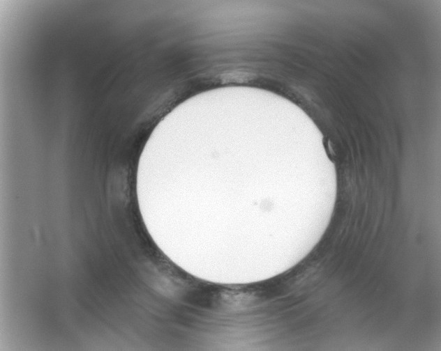 X0000065970311200603311845