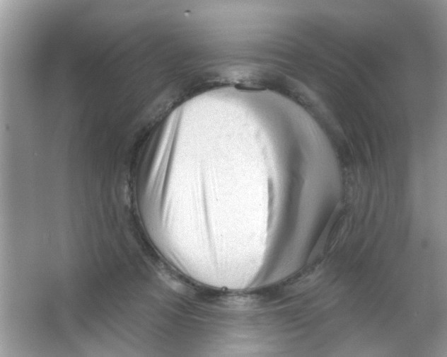 X0000065970313200603311845