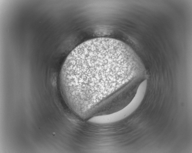 X0000065970315200603311845