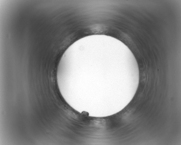 X0000065970317200603311845