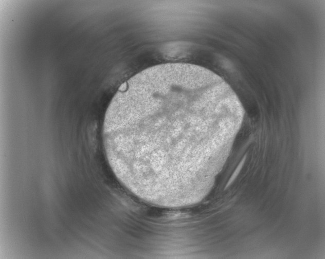 X0000065970319200603311845