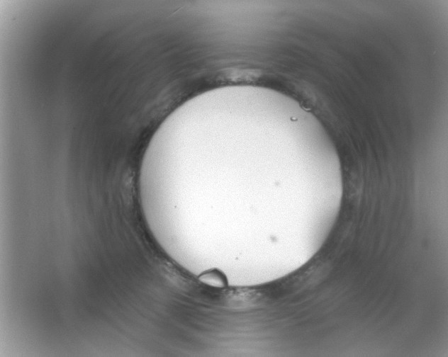 X0000065970321200603311845