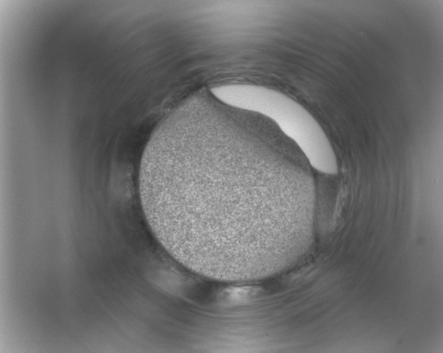 X0000065970323200603311845