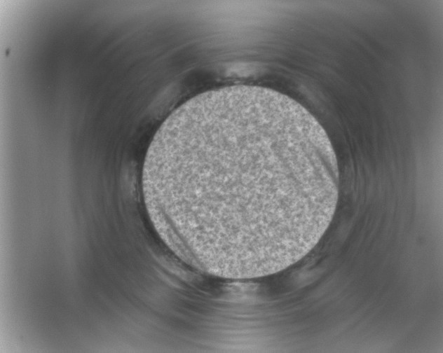 X0000065970328200603311845