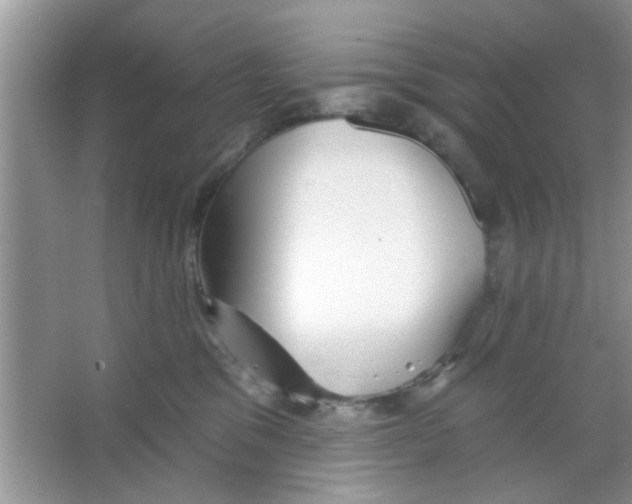 X0000065970329200603311845