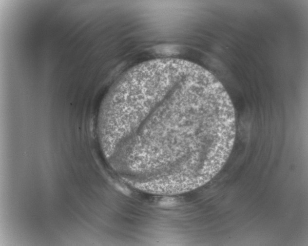 X0000065970330200603311845