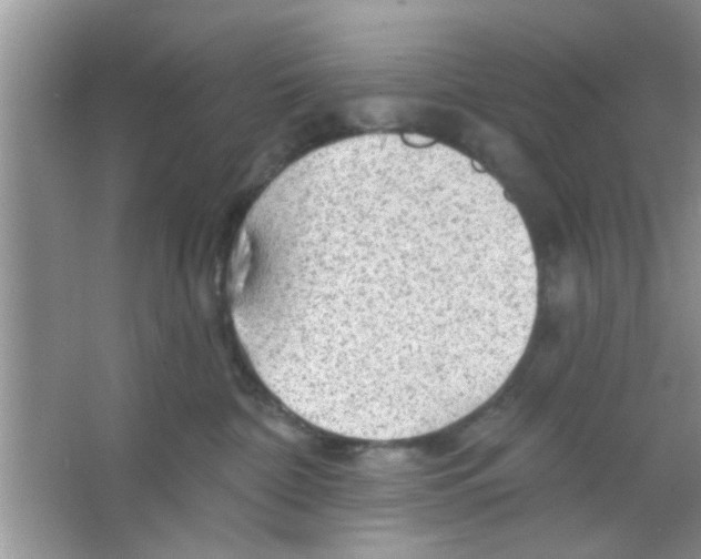 X0000065970332200603311845