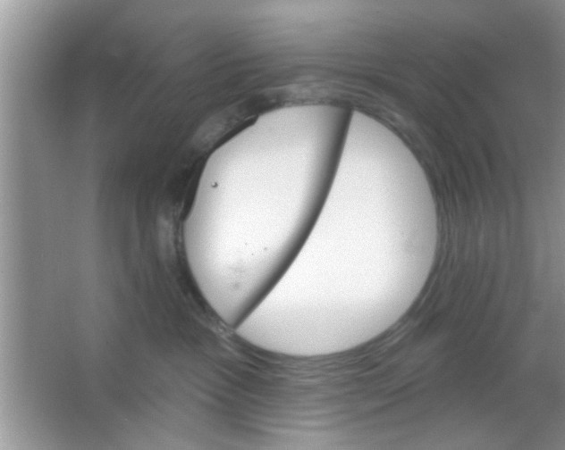 X0000065970333200603311845